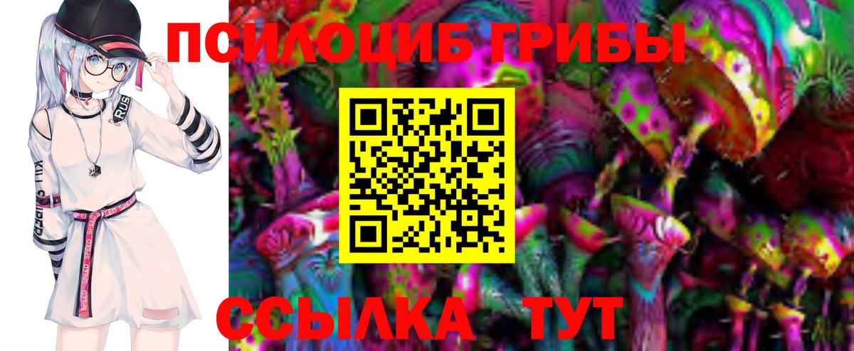 Топки  Псилоцибиновые грибы Magic Shrooms  Псилоцибиновые грибы прущие грибы  Вход с VPN 